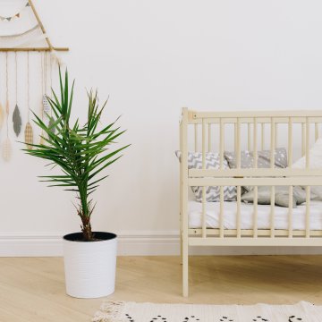 Side view of a crib in a white room
